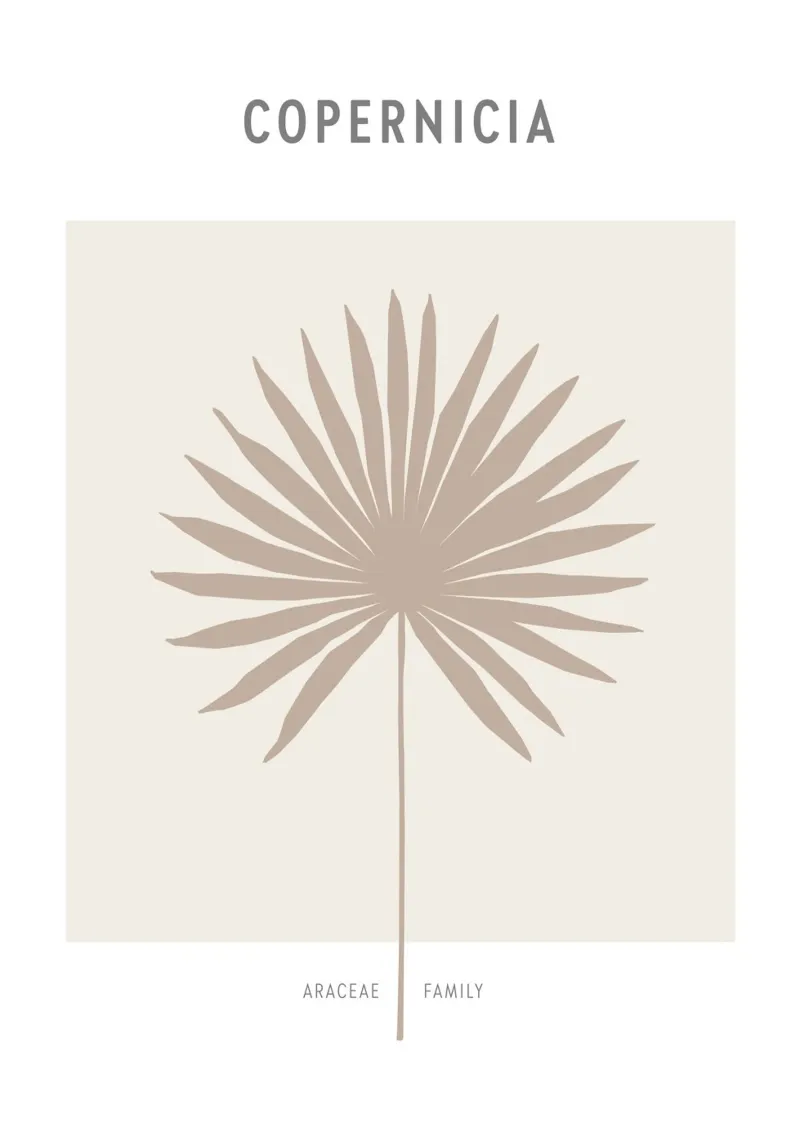 Boho Leaves 1 Copernicia poster con telaio in legno da Boho Print Collection