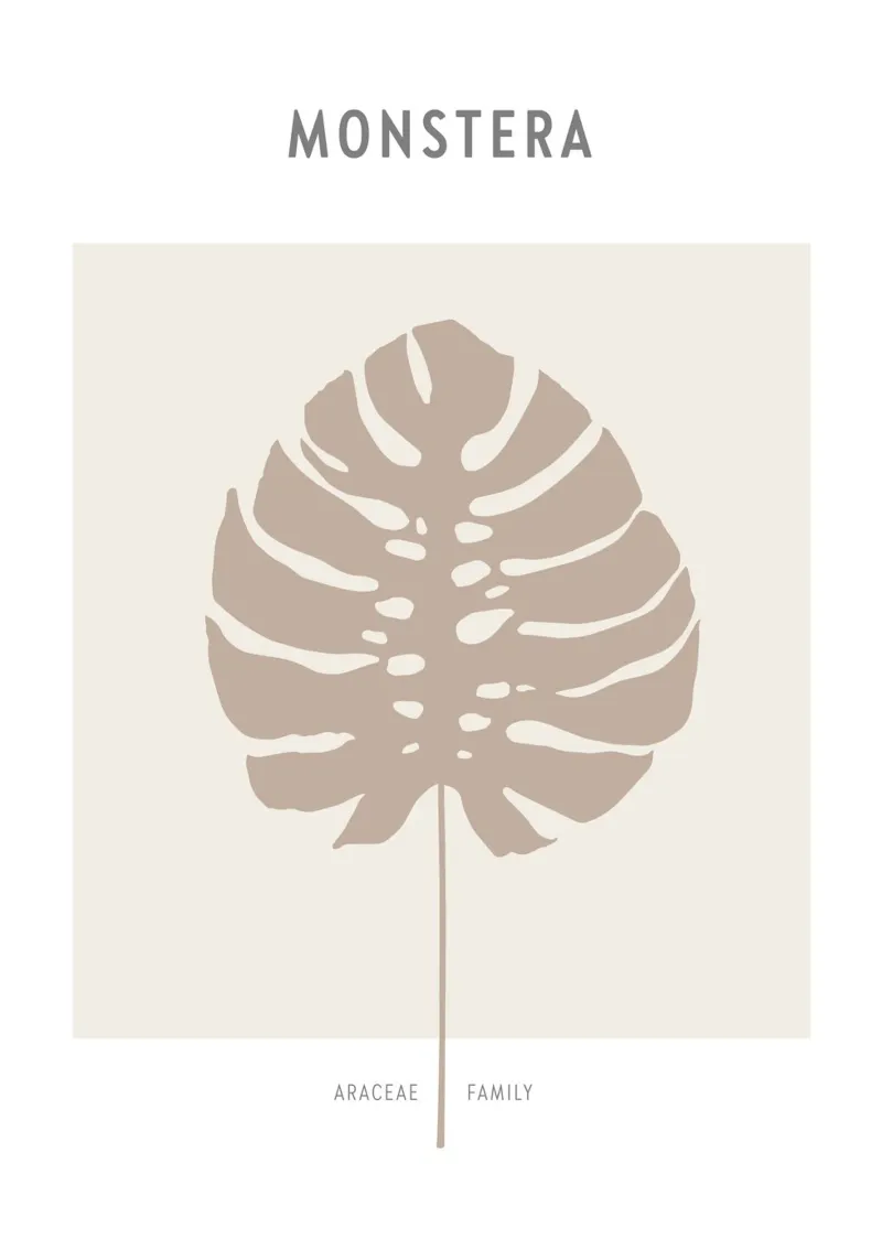 Boho Leaves 1 Monstera poster con telaio in alluminio da Boho Print Collection