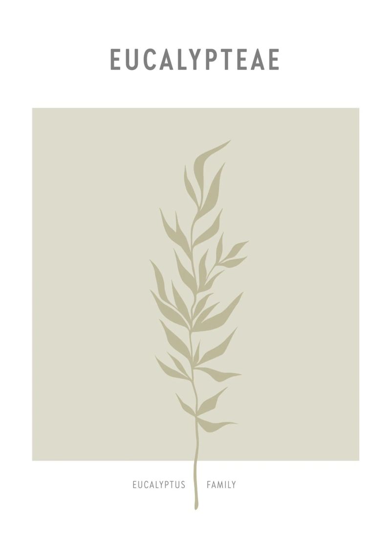 Boho Leaves 2 Eucalypteae poster by Boho Print Collection