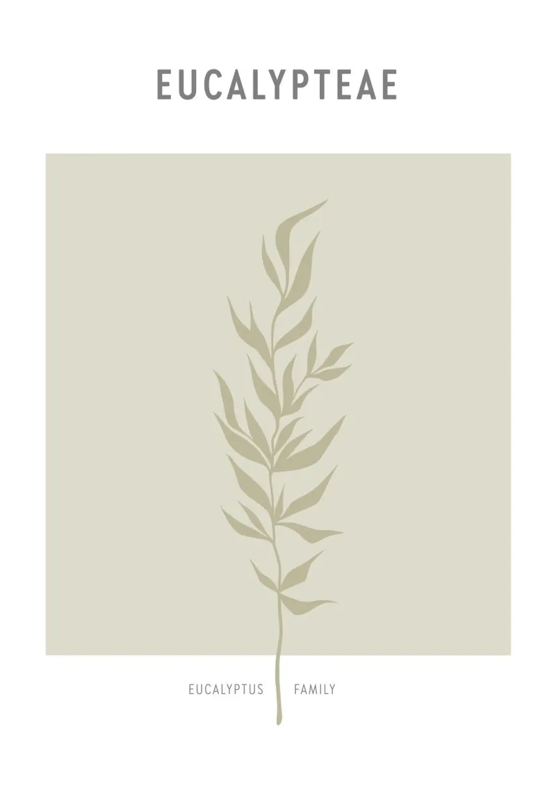 Boho Leaves 2 Eucalypteae pellicola backlit da Boho Print Collection