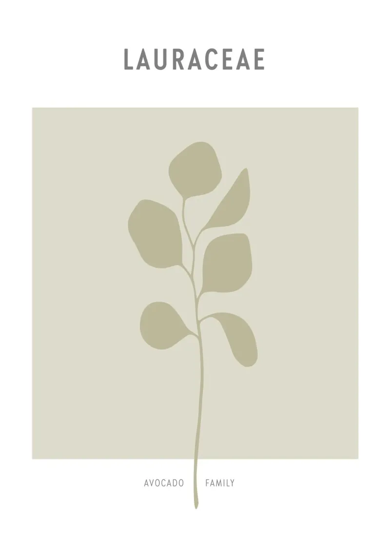 Boho Leaves 2 Lauraceae tela con Cornice a cassetta da Boho Print Collection
