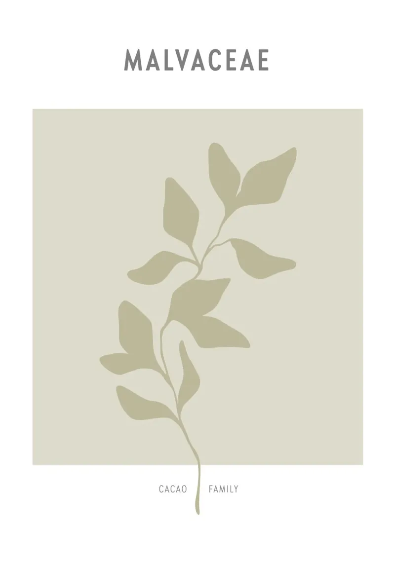 Boho Leaves 2 Malvaceae tela con Cornice a cassetta da Boho Print Collection