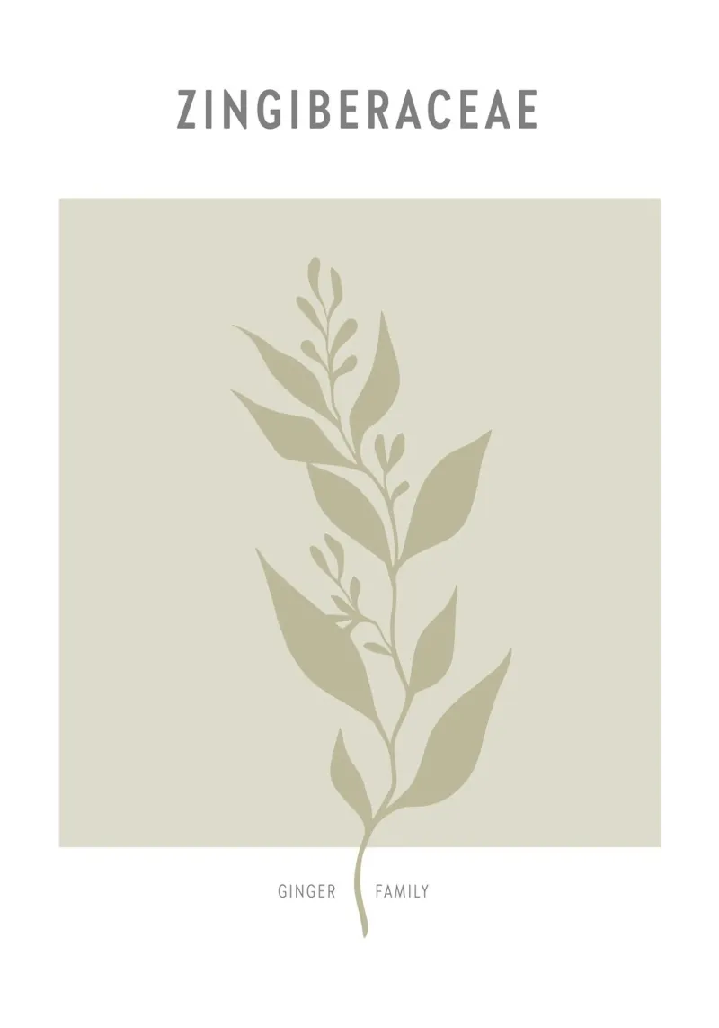 Boho Leaves 2 Zingiberaceae poster con telaio in legno da Boho Print Collection