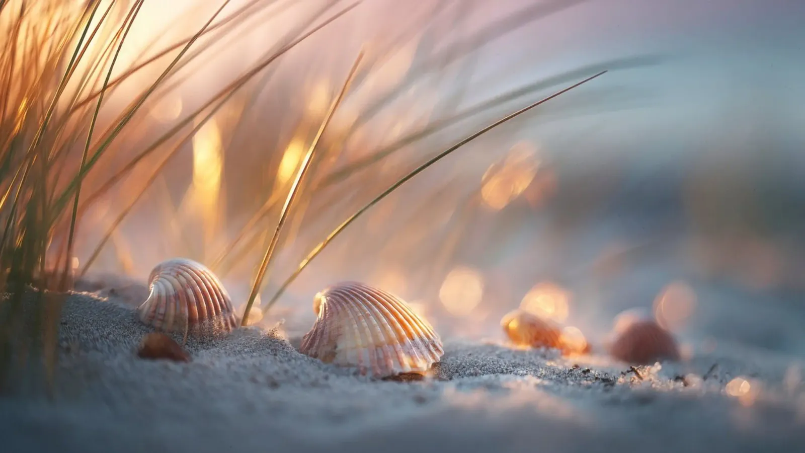 Bokeh Beach No 05 tela con Cornice a cassetta da treechild