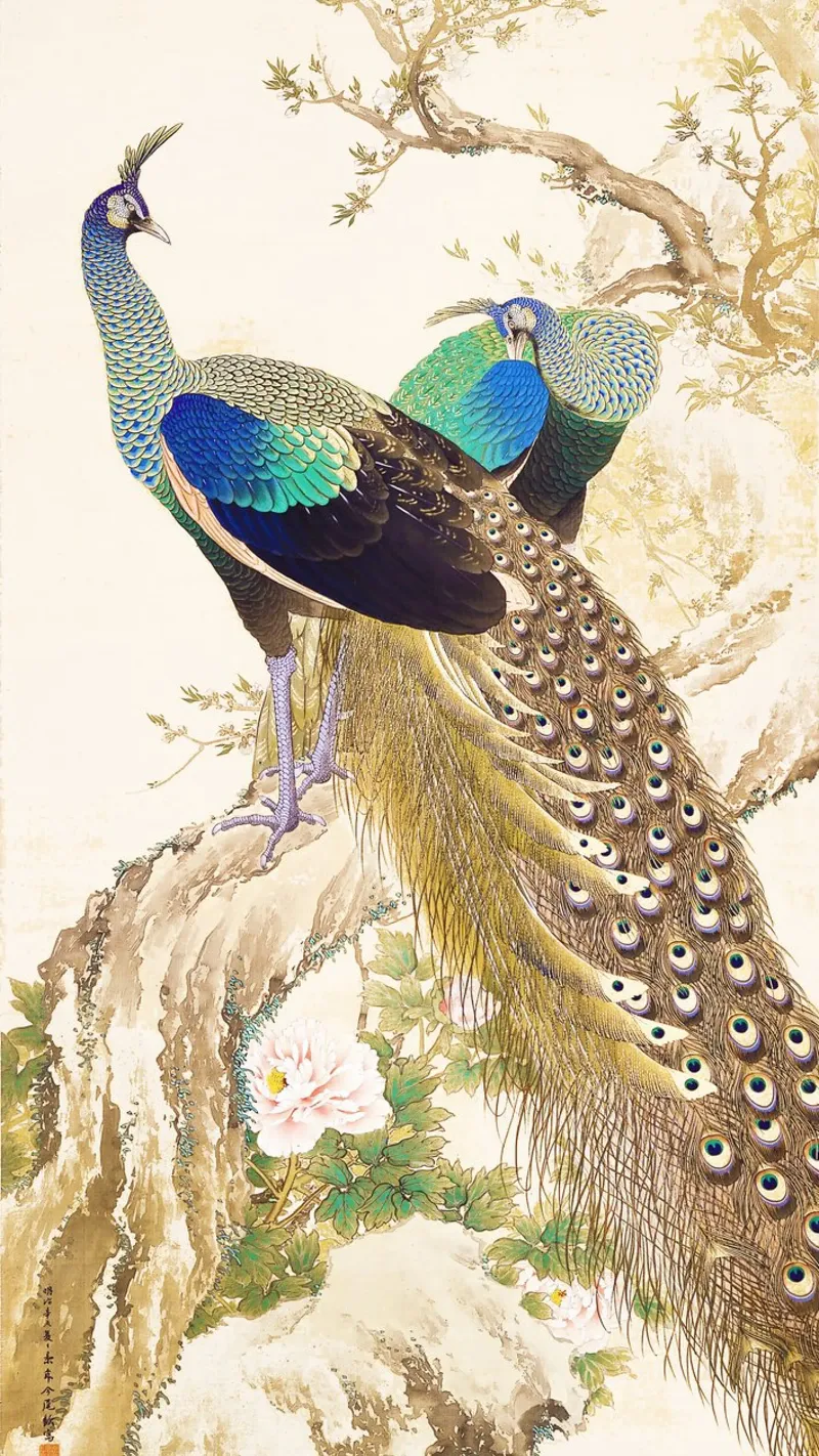 Coppia di pavoni in primavera di Imao Keinen poster con telaio in legno da Venus Art