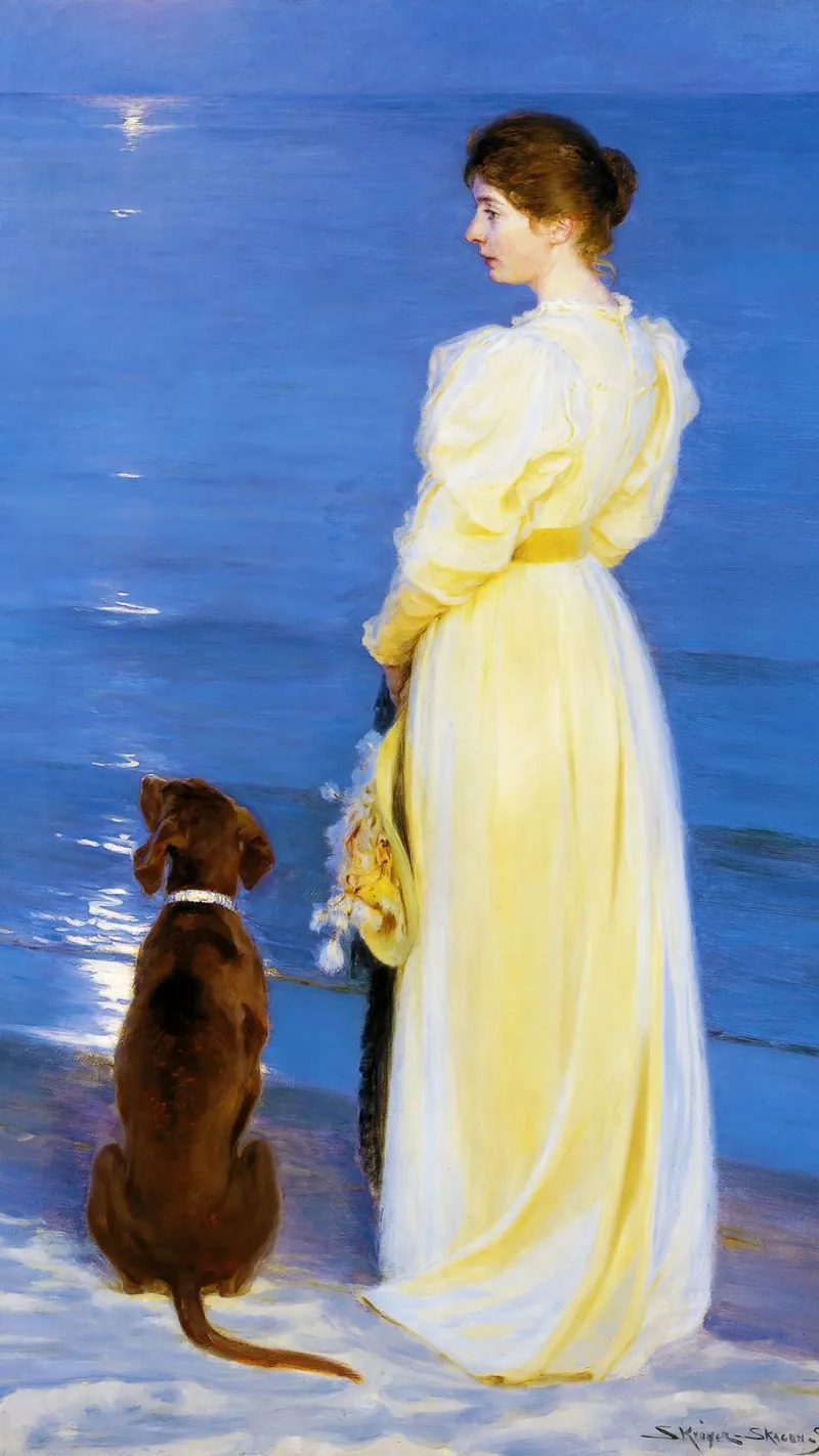 Serata estiva a Skagen poster da Venus Art