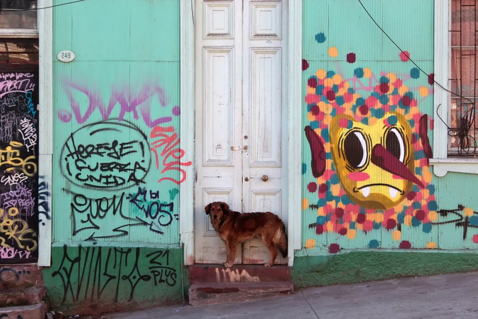 Hond en gekleurde muur canvas met Baklijst van LinaTravels