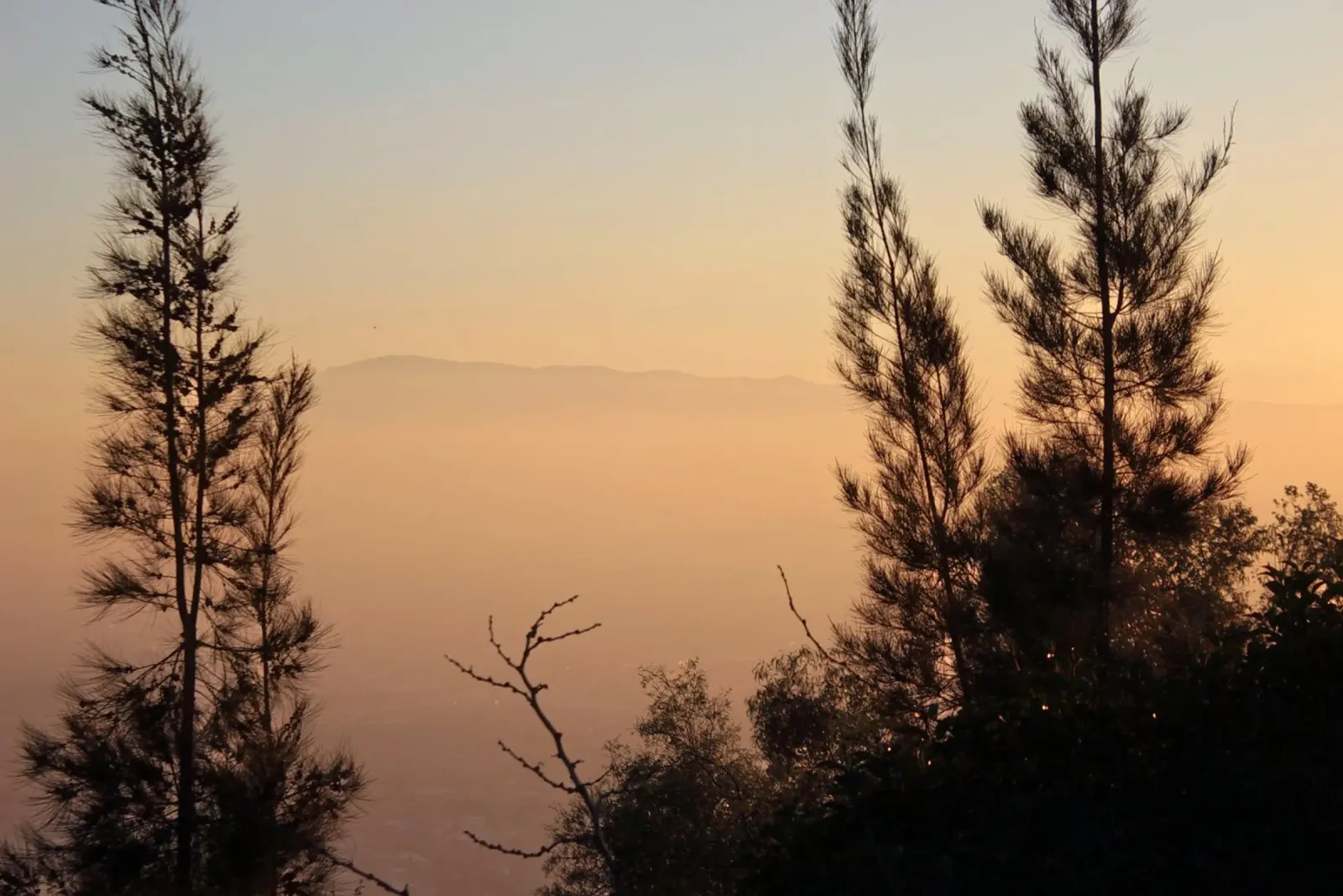 Tramonto e alberi tela con Cornice a cassetta da LinaTravels