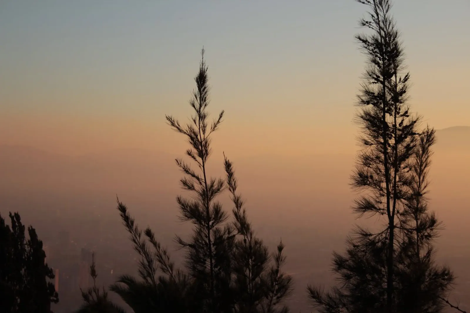 Tramonto e sagome di alberi poster da LinaTravels