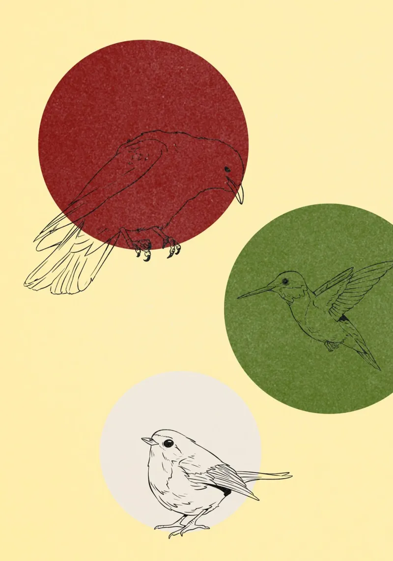 Bird Talk poster da https://www.juniqe.com/de/shop/artemis