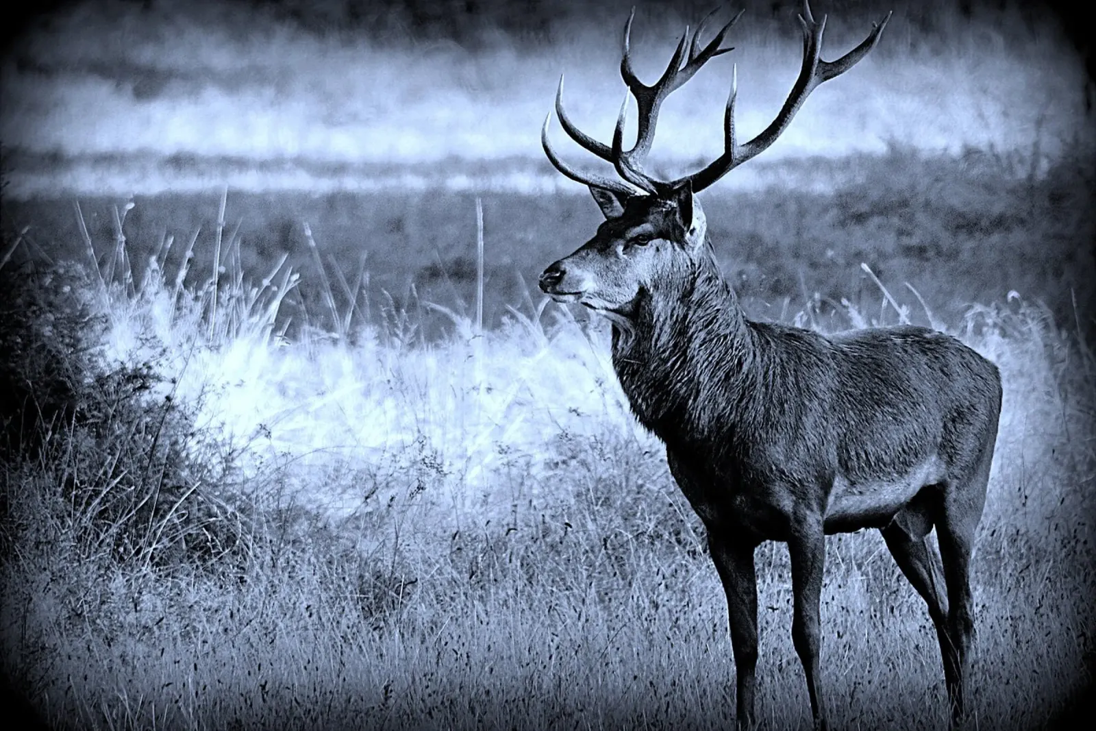 BW84 poster con telaio in alluminio da Thierry vobmann photography