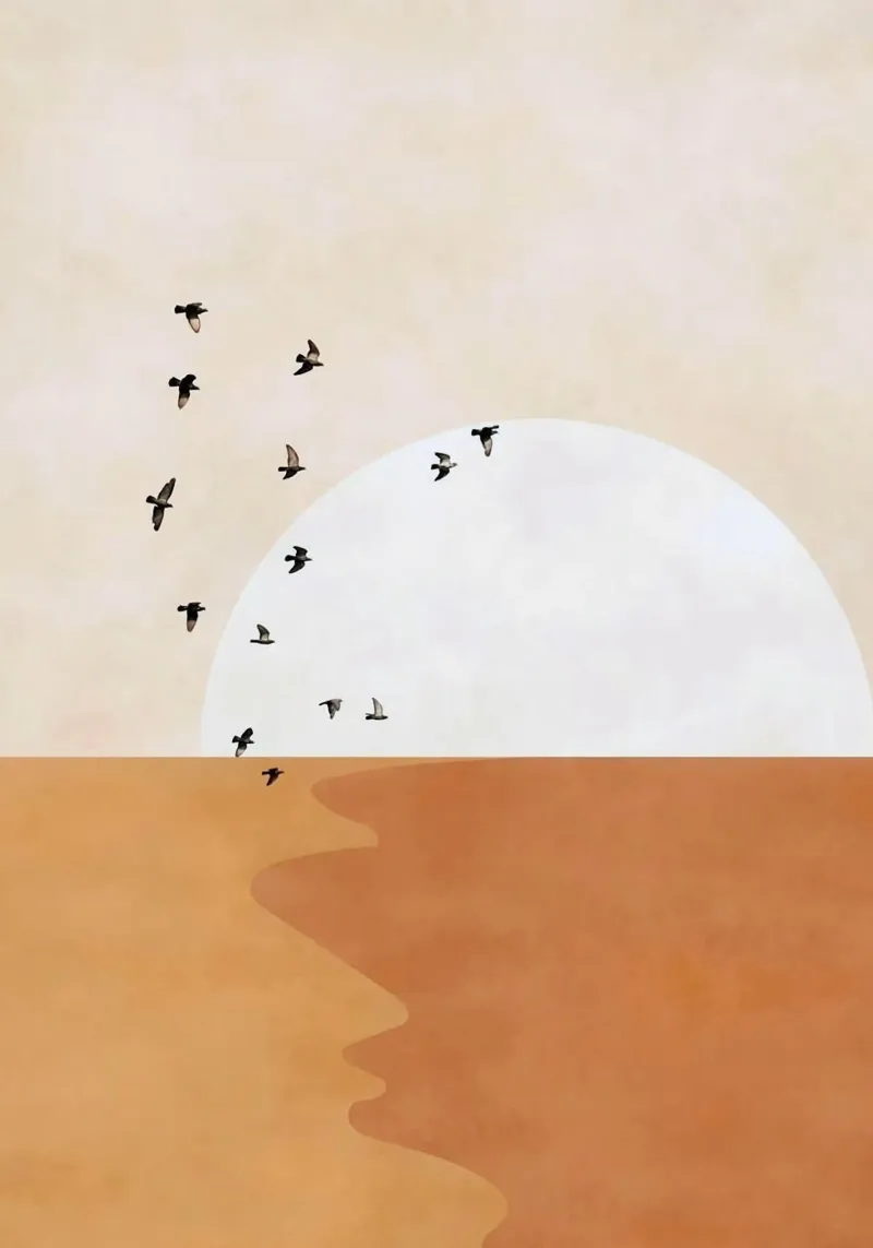 fly in line sun poster da carsa