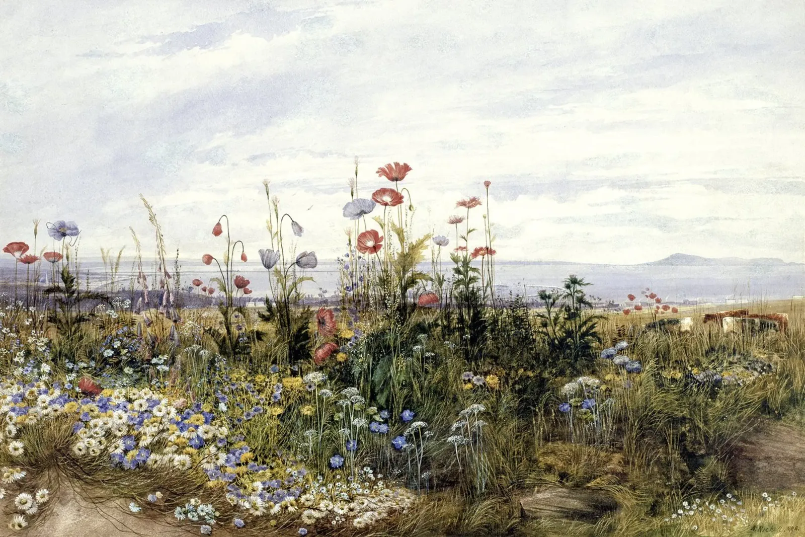 Wildflowers with a View of Dublin Dunleary tela con Cornice a cassetta da apoloprints
