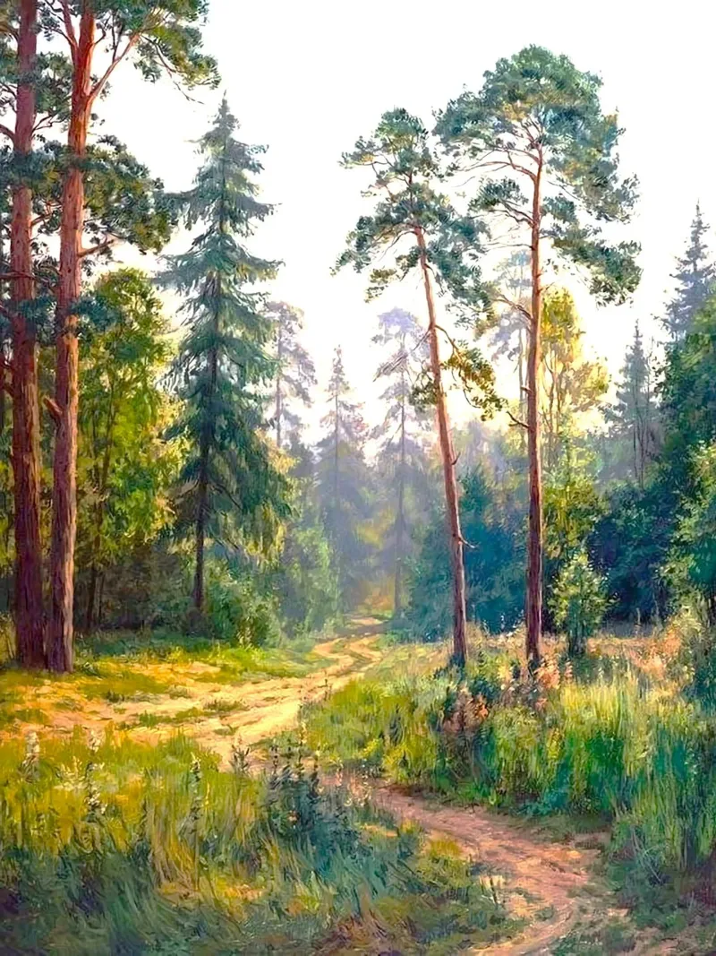 sunshine on forest poster da melts