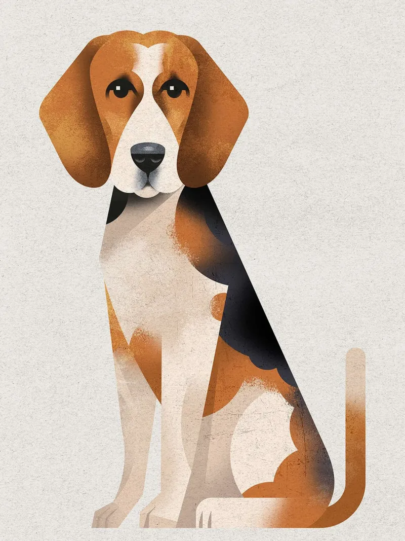 Beagle tela con Cornice a cassetta da David Jackson