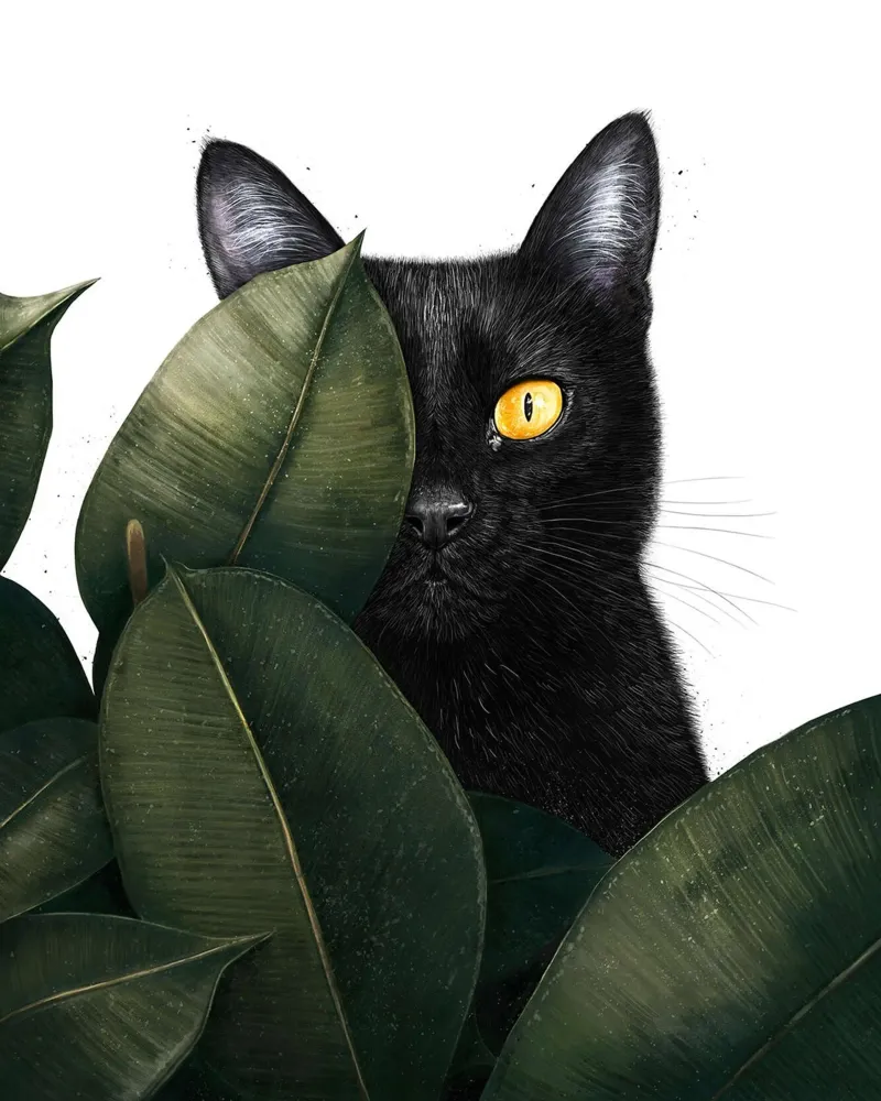 Gatto nero in agguato poster con telaio in plastica da David Jackson
