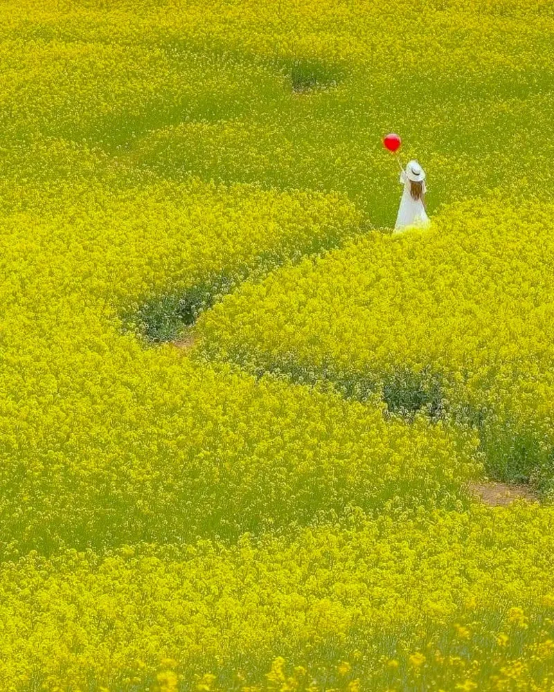 girl on large field poster con telaio in legno da huminity