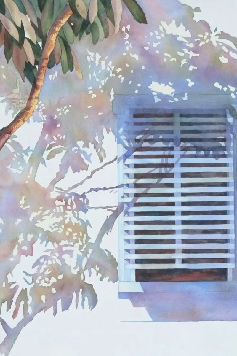 window shadow tree tela con Cornice a cassetta da firmana