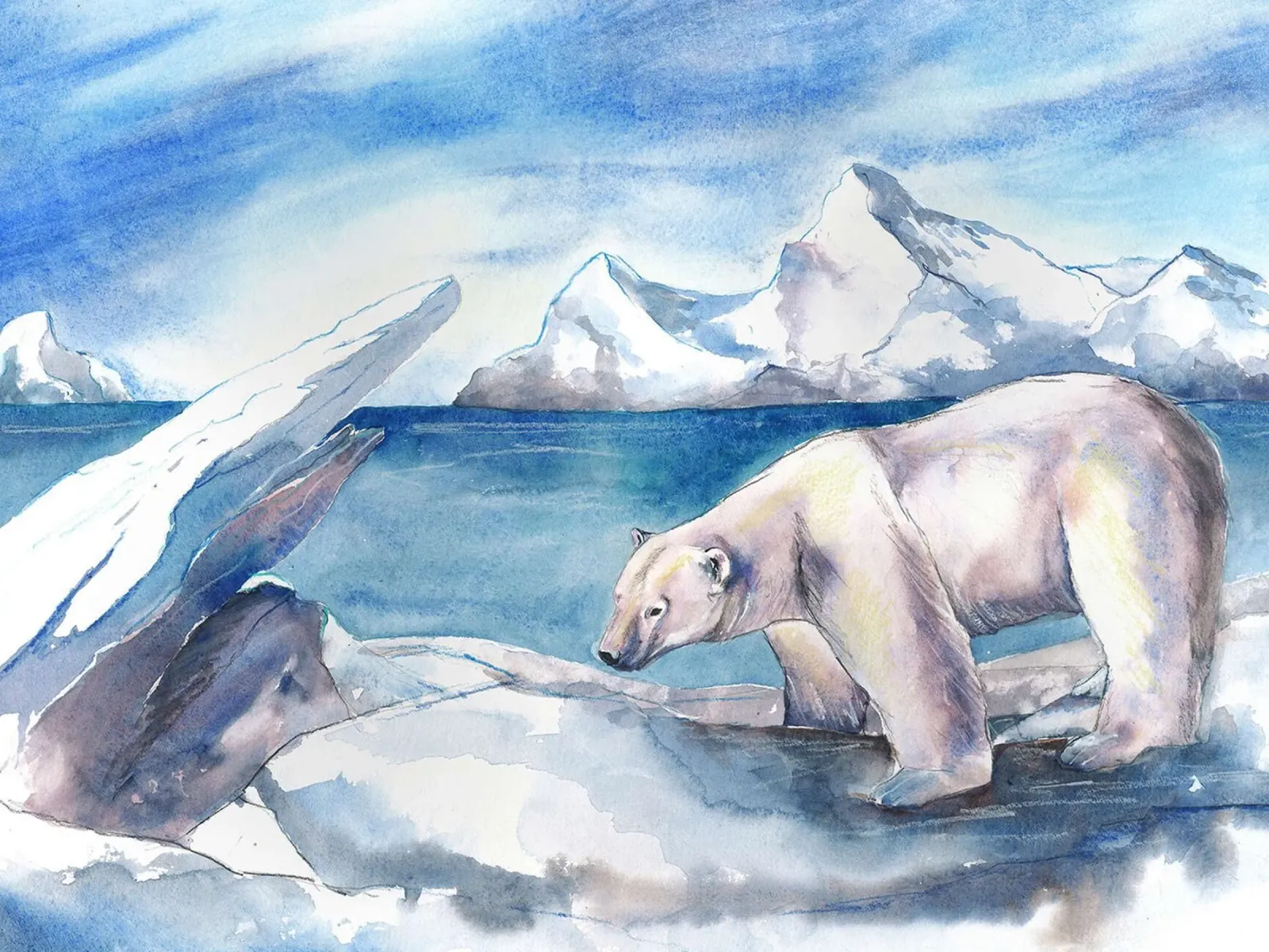 orso polare poster da David Jackson