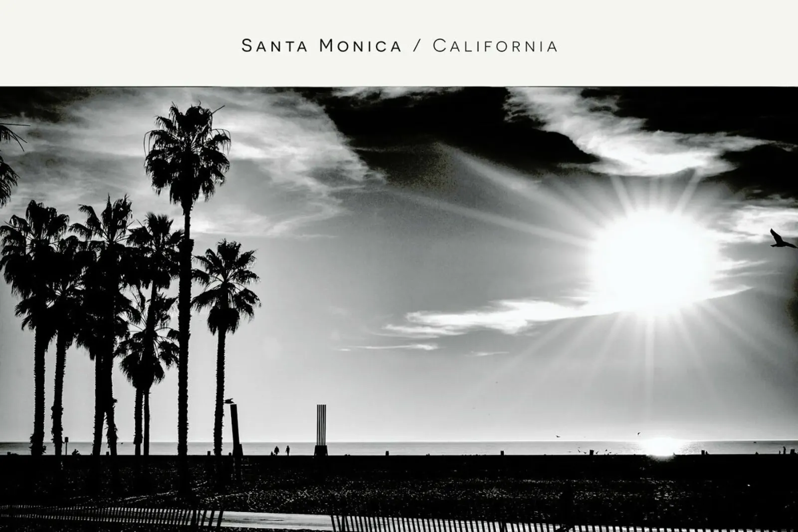 Santa Monica No. 1 B&W pellicola backlit da In Full Color