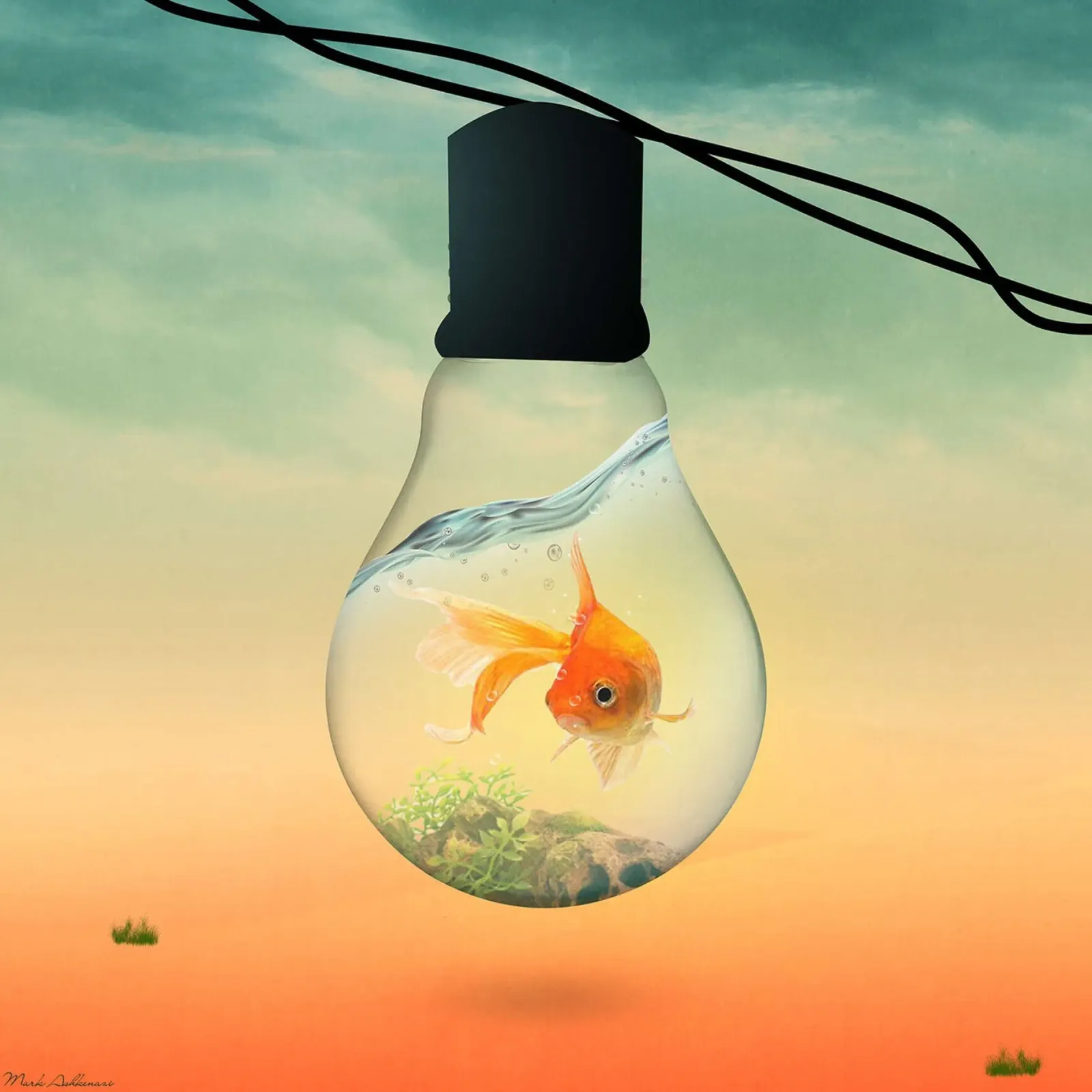 luci pesce B di Mark Ashkenazi poster con telaio in plastica da David Jackson