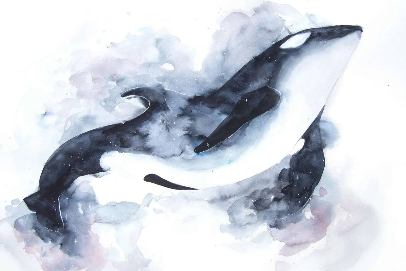 Orca spaziale di Déborah Maradan poster con telaio in plastica da David Jackson