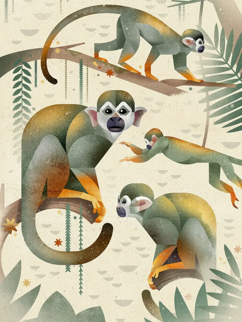 Squirrel monkey canvas with Floater frame by David Jackson