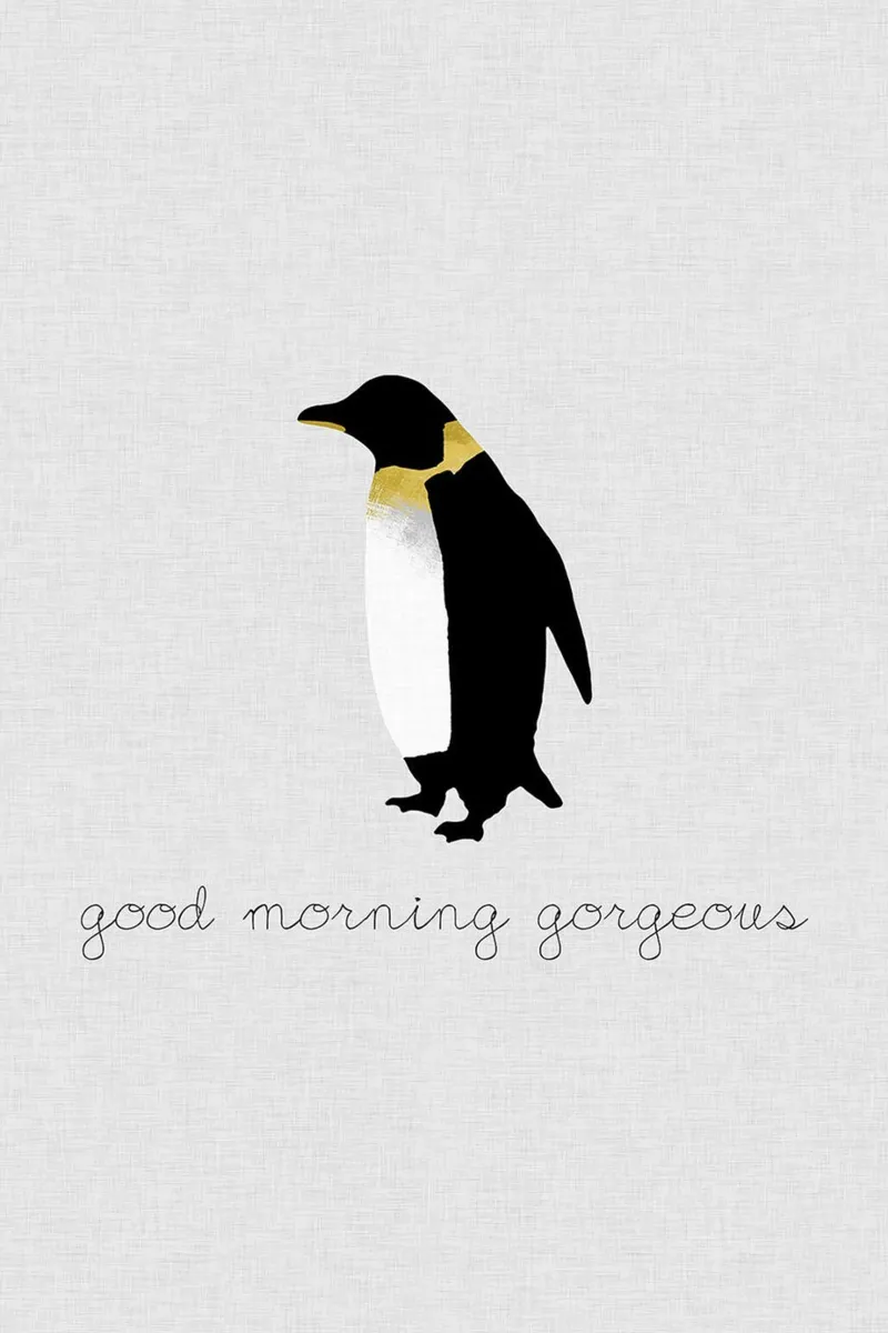 Buongiorno splendore - Set di pinguini poster da David Jackson