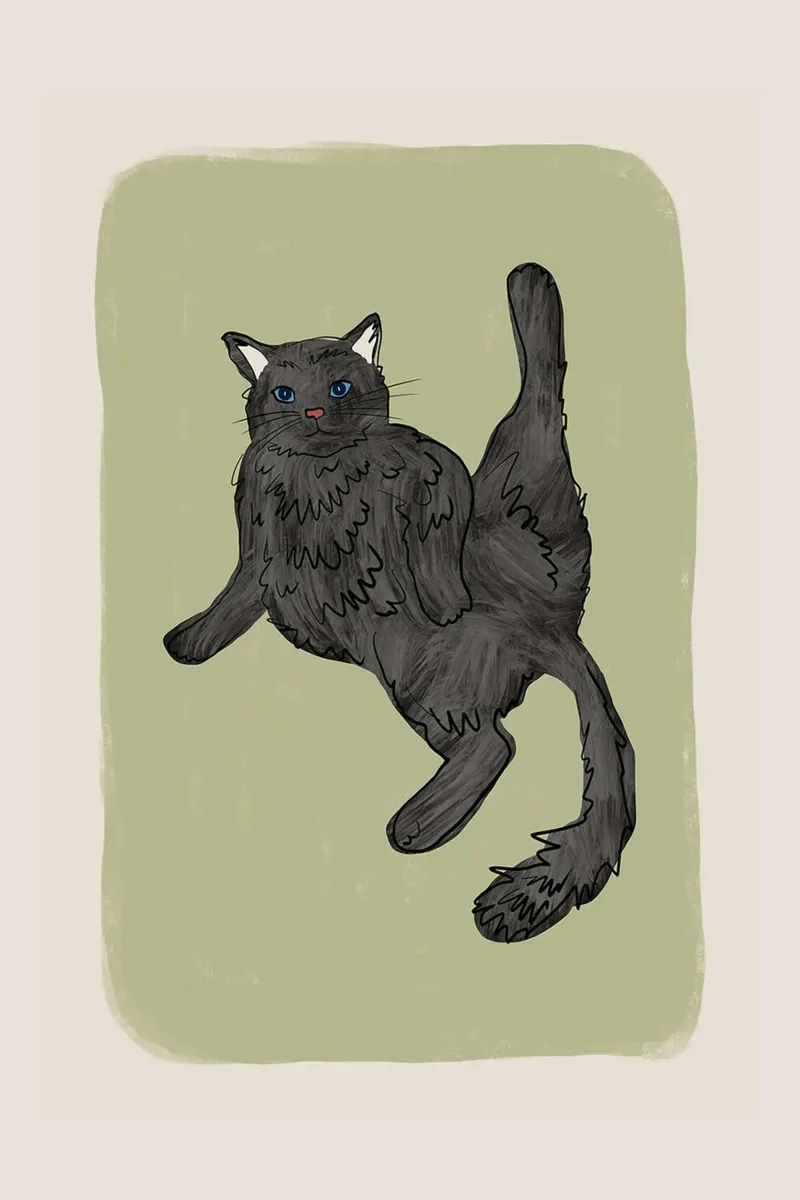 Gatto nero di Orara Studio poster da David Jackson