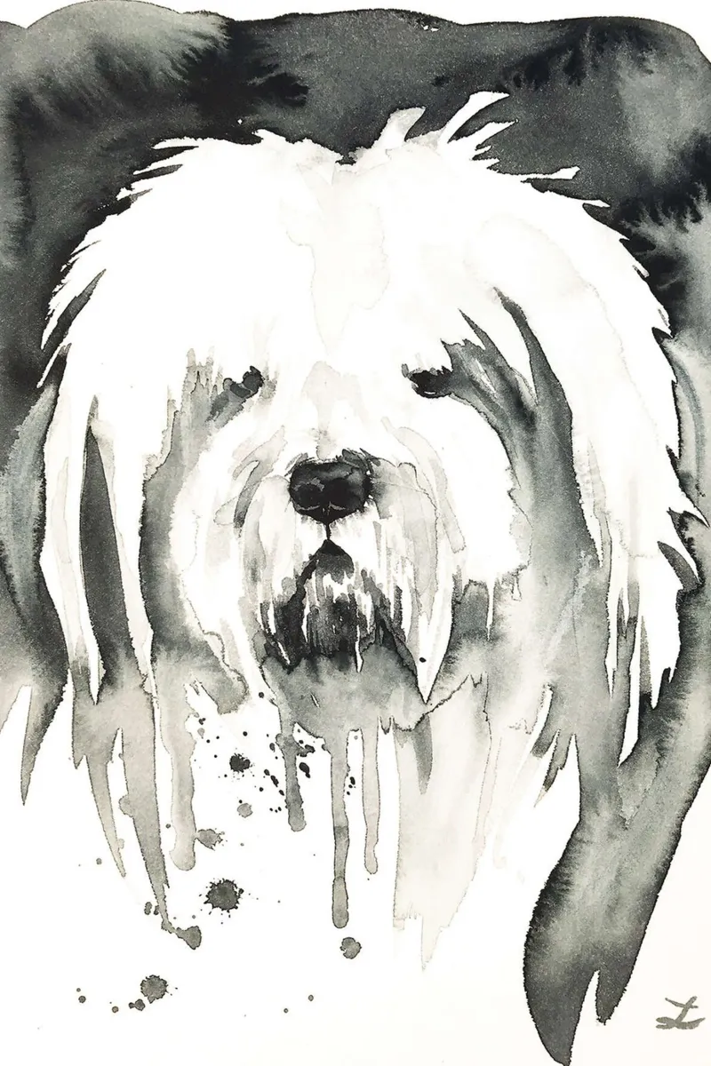 Bobtail poster con telaio in plastica da David Jackson