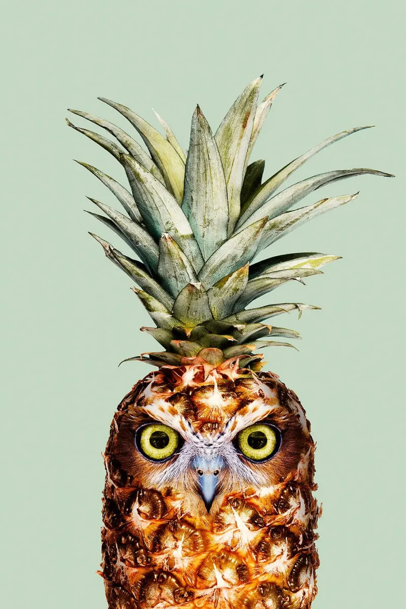 Ananas I di Jonas Loose poster con telaio in alluminio da David Jackson