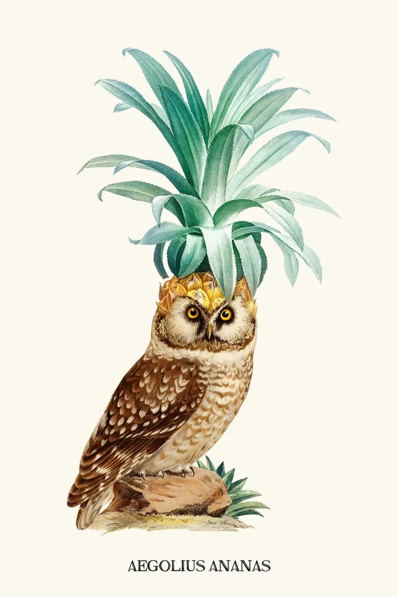 Ananas ll di Jonas Loose poster da David Jackson