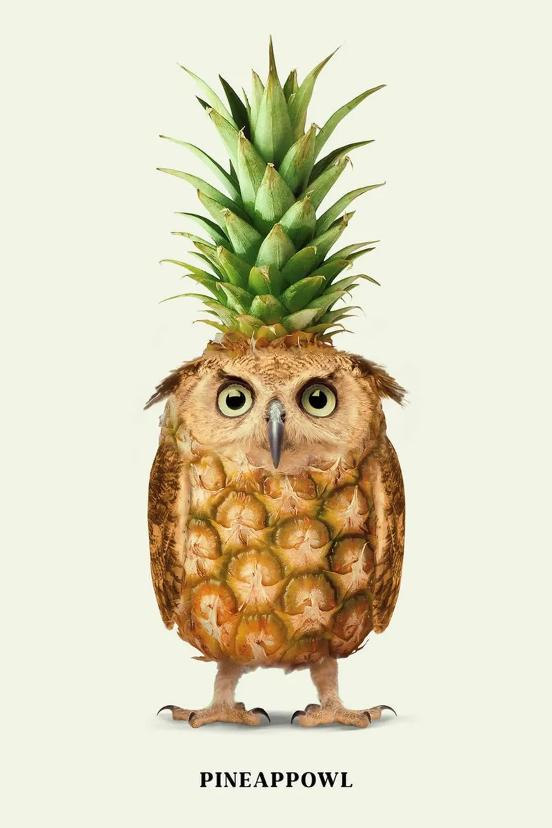 Ananas poster da David Jackson