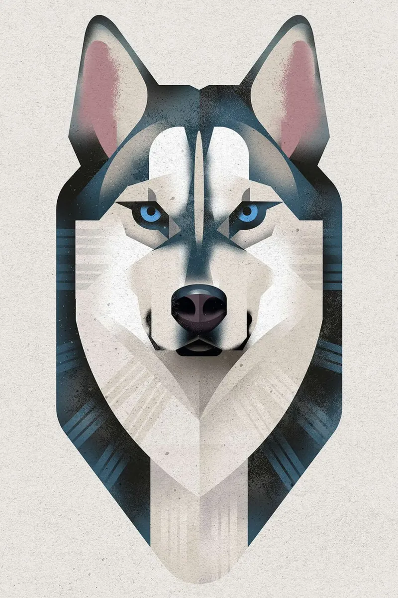 Husky siberiano poster da David Jackson