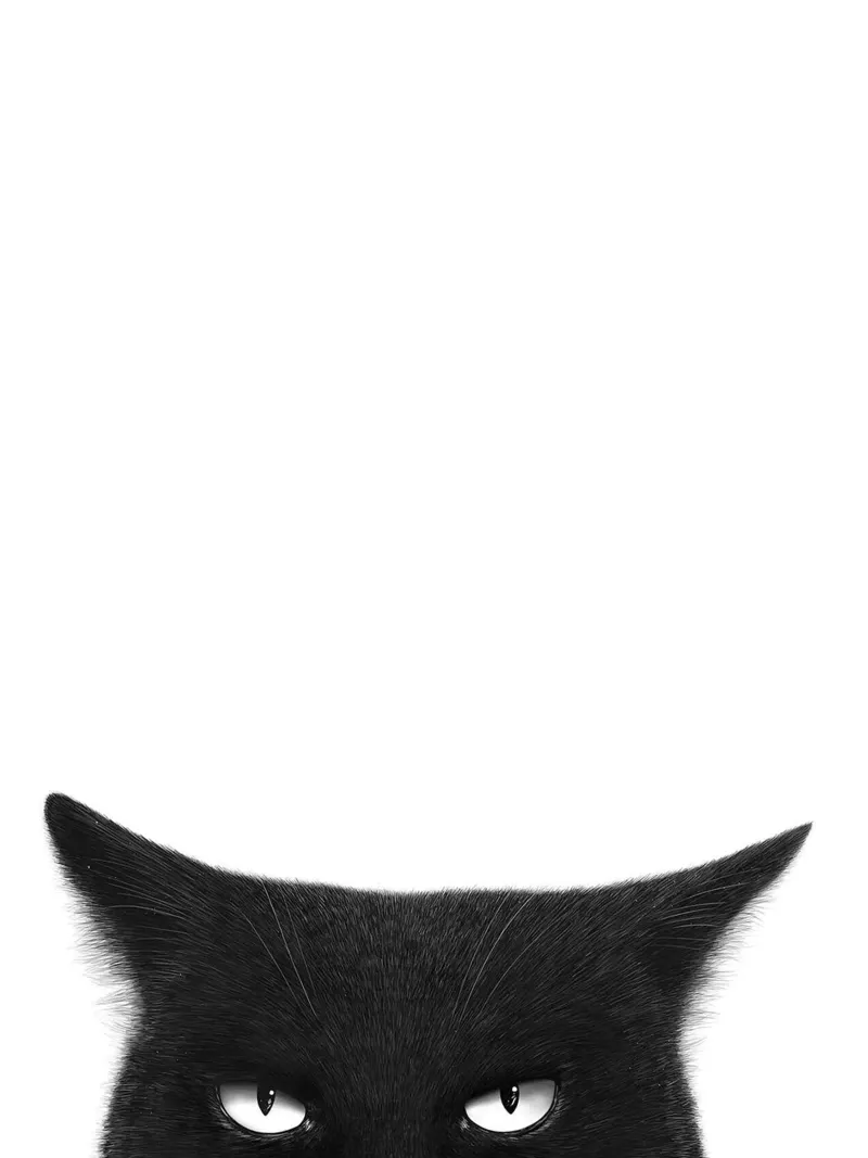 Gatto nero arrabbiato poster da David Jackson