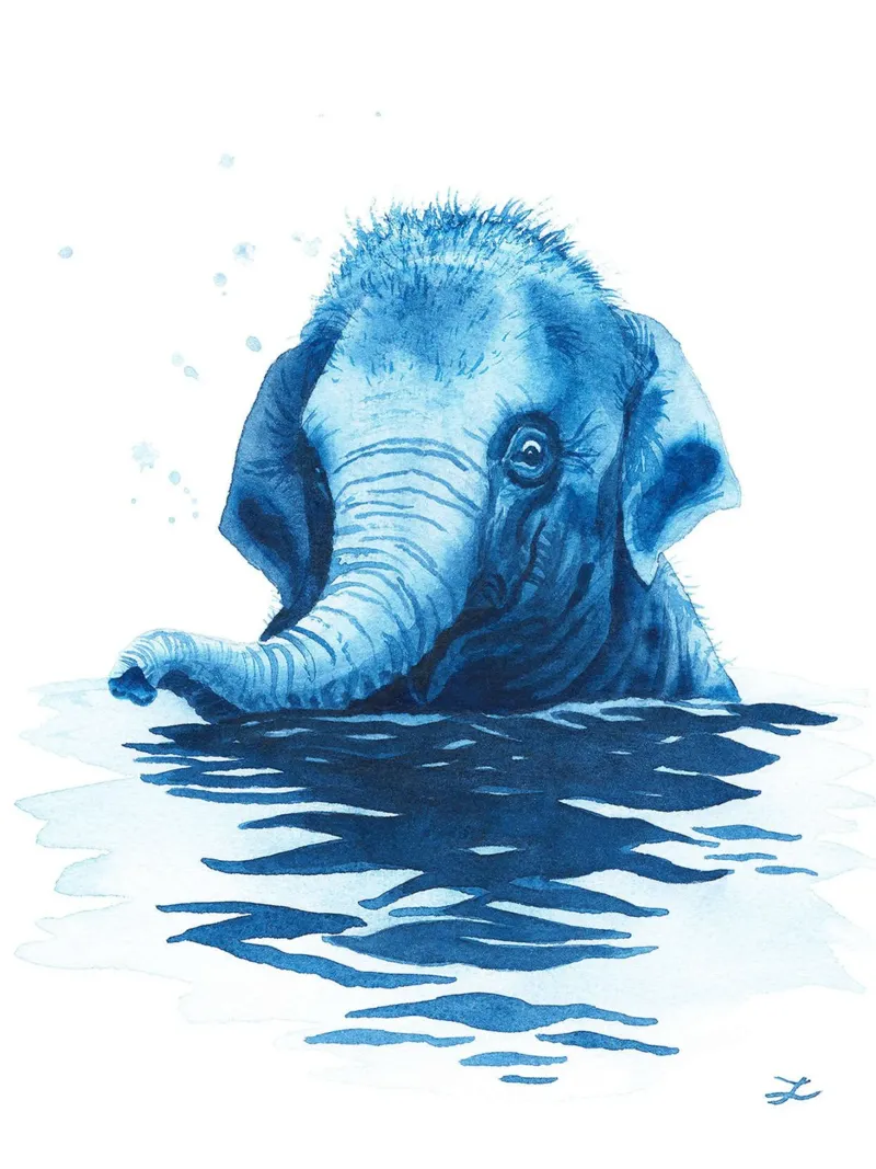 Un cucciolo di elefante che fa il bagno poster da David Jackson