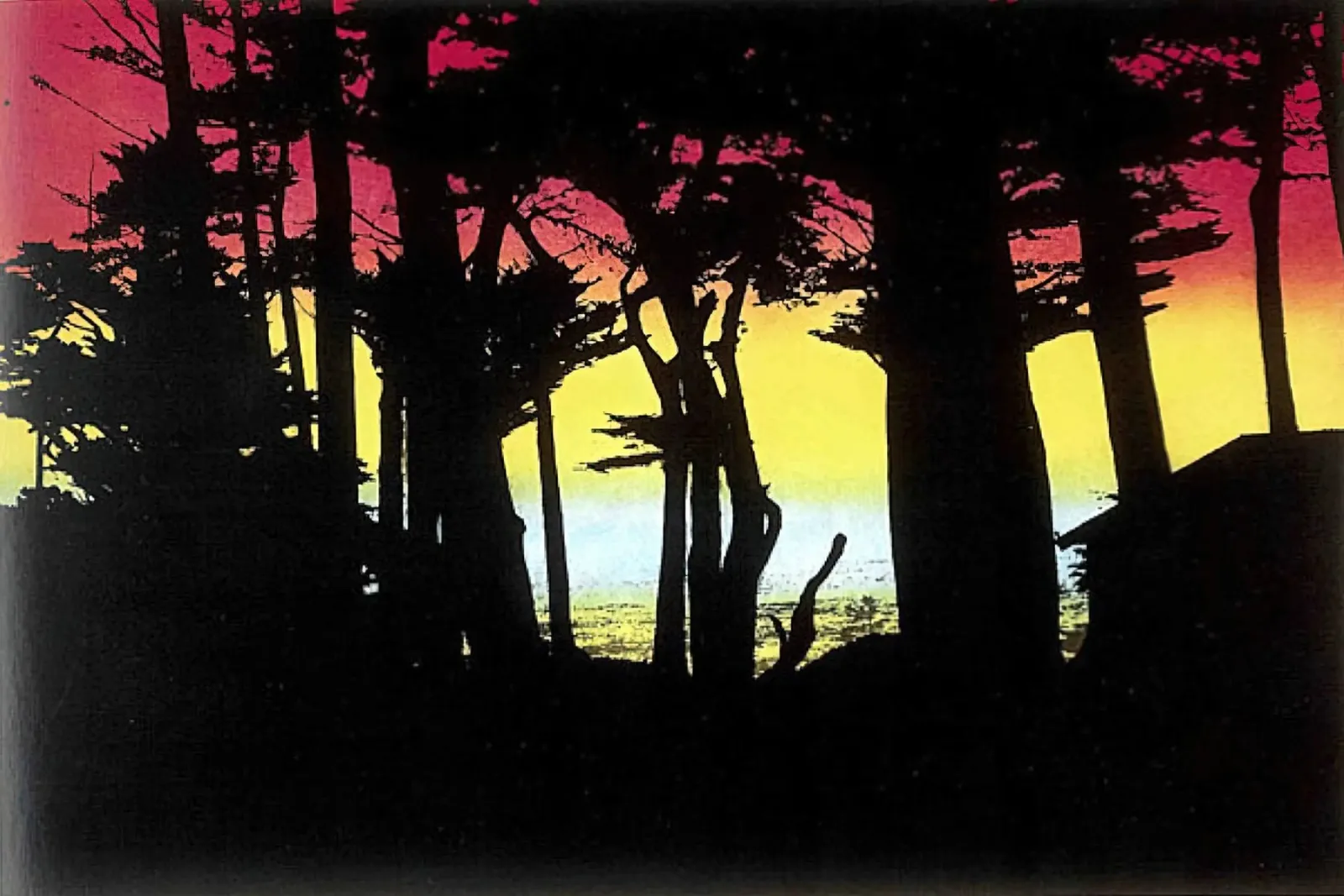 100 ANNI FA, Big Sur - Peter Doig poster con telaio in alluminio da Milfordwings