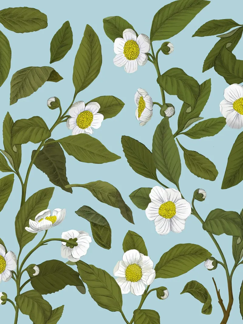 Fiori bianchi - Silja Goetz tela con Cornice a cassetta da Monillustrations