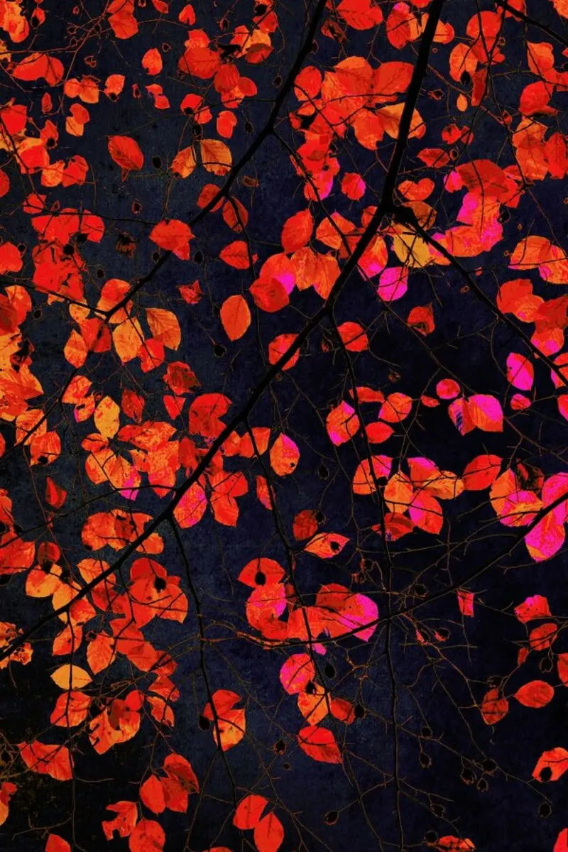 Furious Red Leave carta hahnemühle da IRIS LEHNHARDT FINE ART