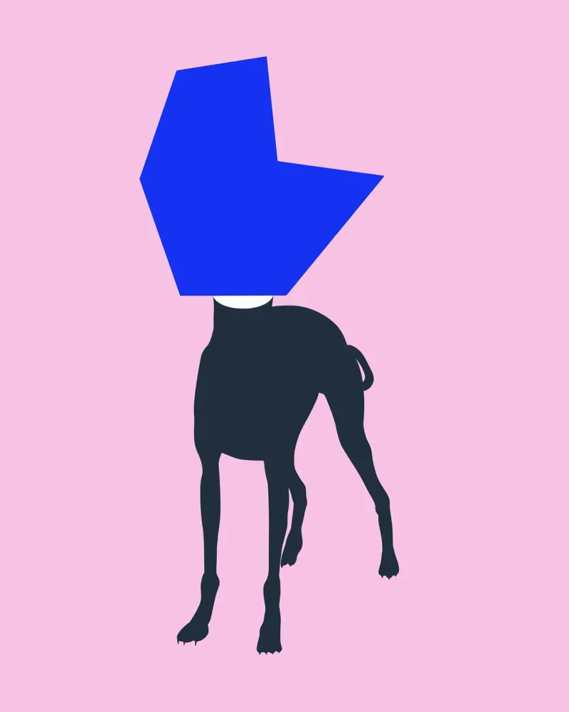 Segugio della geometria poster da Little Dean