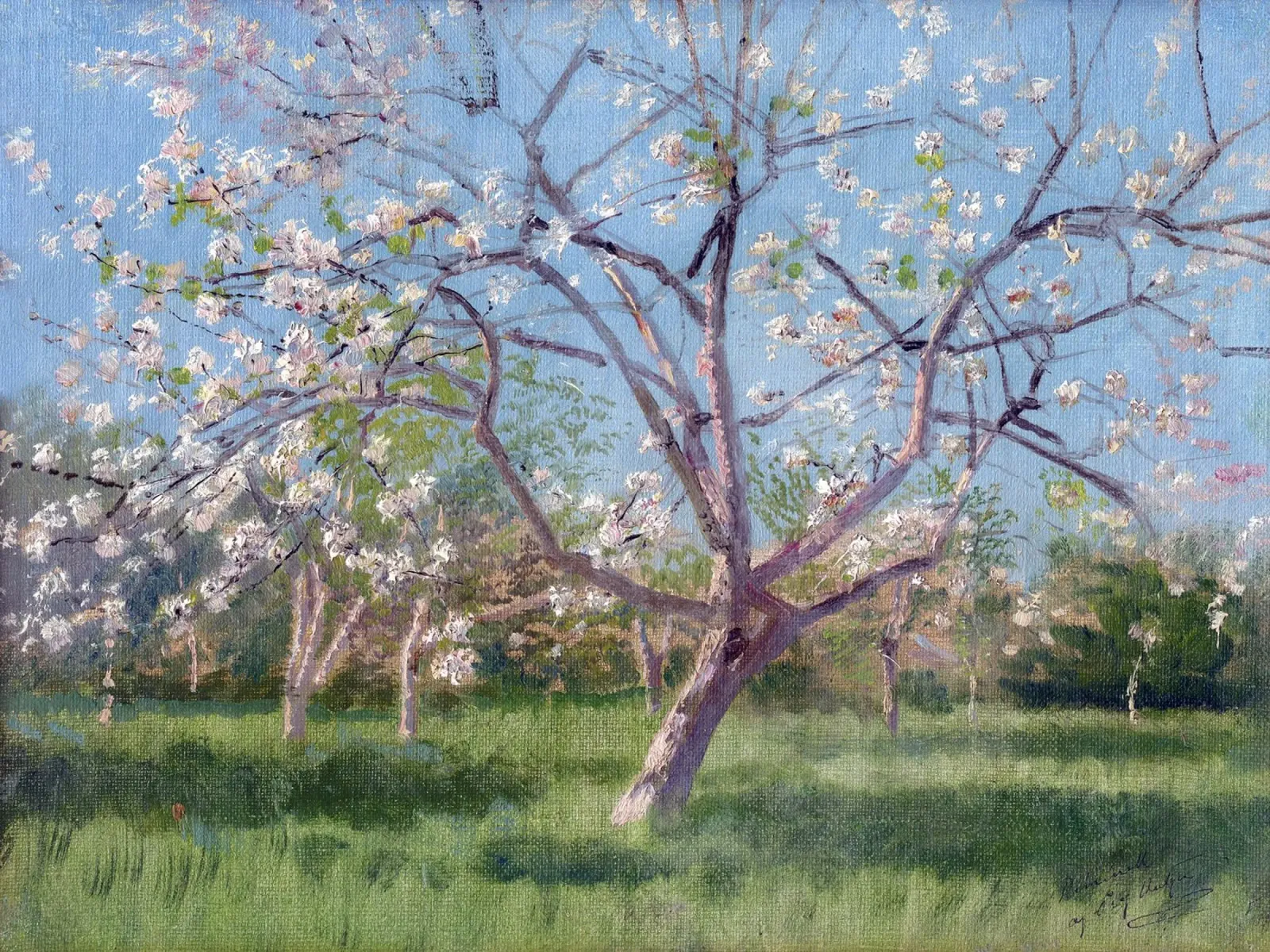Study of Blooming Trees in an Orchard poster da apoloprints