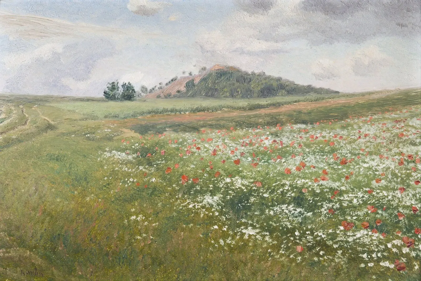 Fields with Wild Poppies Leinwand mit Schattenfugenrahmen von apoloprints