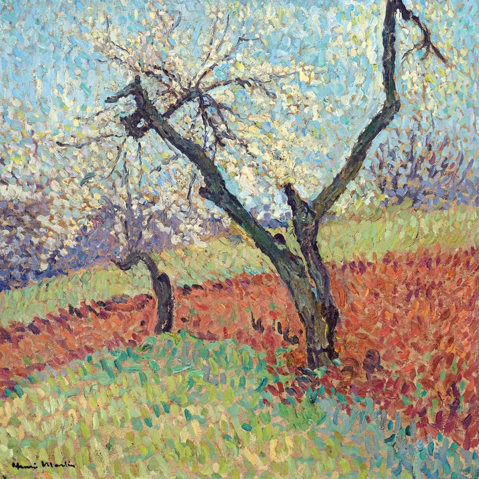 The Old Plum Trees tela con Cornice a cassetta da apoloprints
