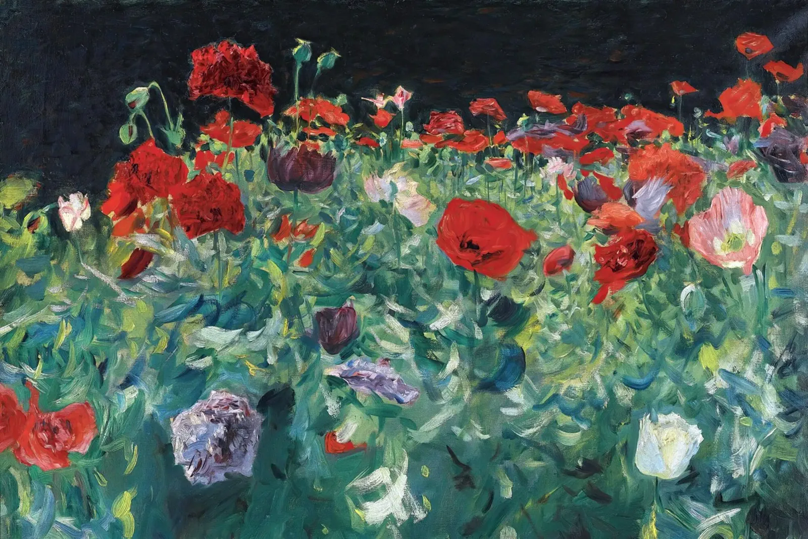 Poppies poster con telaio in legno da apoloprints