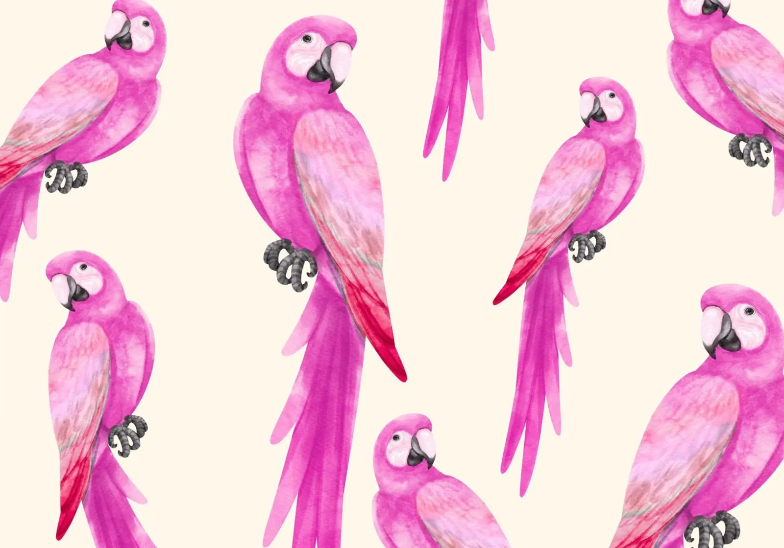 Roze Papegaaien, Tropisch Vogelpatroon, Behang canvas met Baklijst van vintagepod