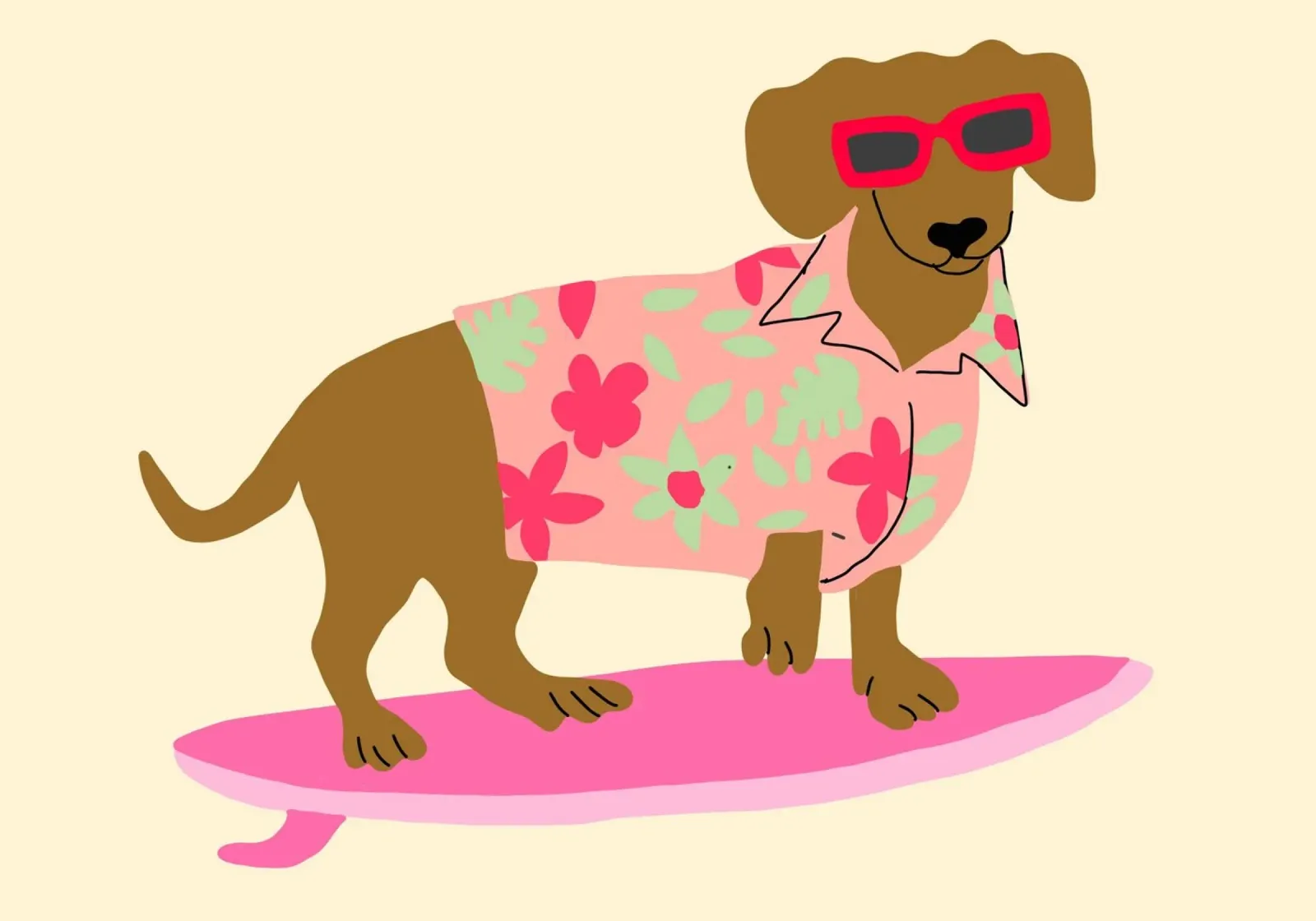 Surfing Dachshund, Funny Dog Art Print canvas with Floater frame by vintagepod