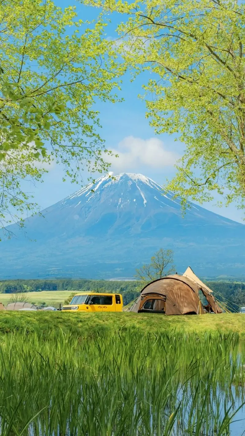 camping in forest poster con telaio in legno da carsa