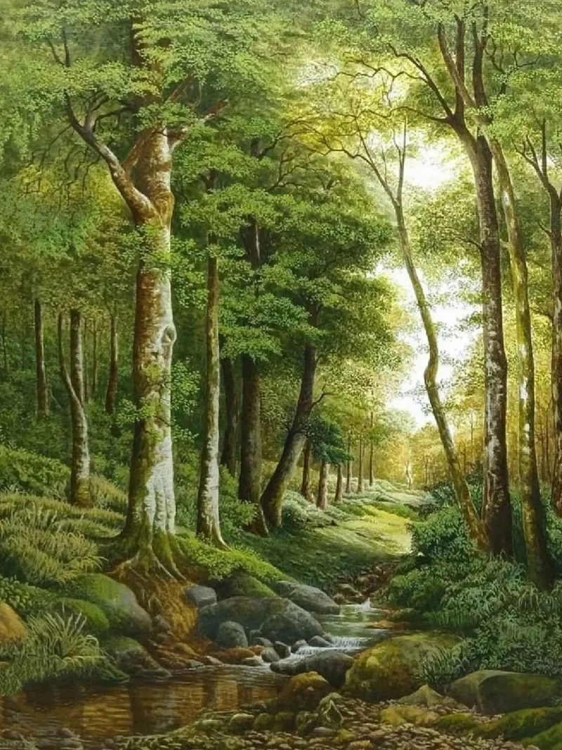 forest light tree tela con Cornice a cassetta da melts
