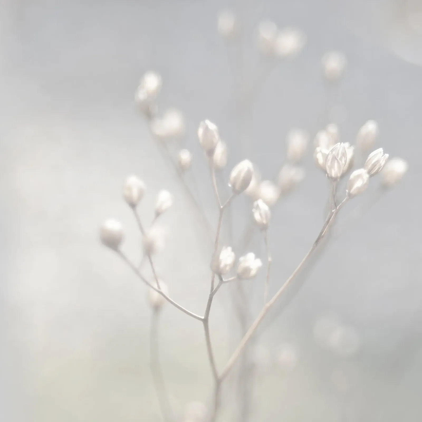 winter light poster by Visuelle Poesie am Wegesrand