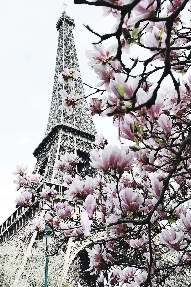 Paris by Dmitry Belov canvas with Floater frame by Oscar Frazier